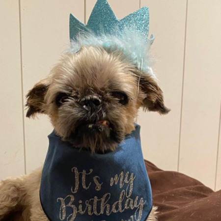 Anna Hillinger is a dog lover.